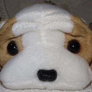 TY Beanie Babies Wrinkles (4th Generation)  Red Stamp #462 MNWT